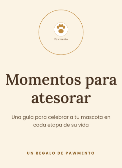 PDF Momentos para atesorar