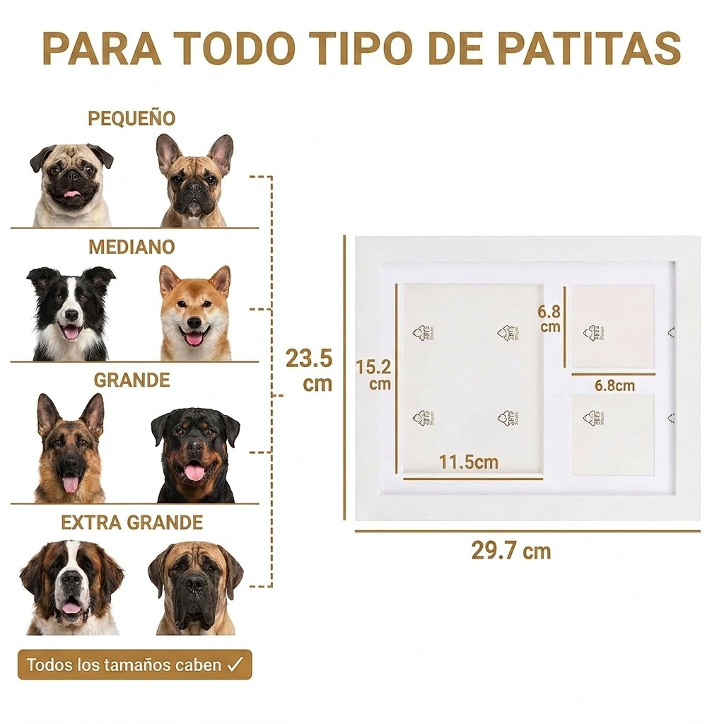 Kit de huellas para animales